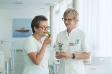 Klinikum Bad Gleichenberg für Lungen- und Stoffwechselerkrankungen footer image 1